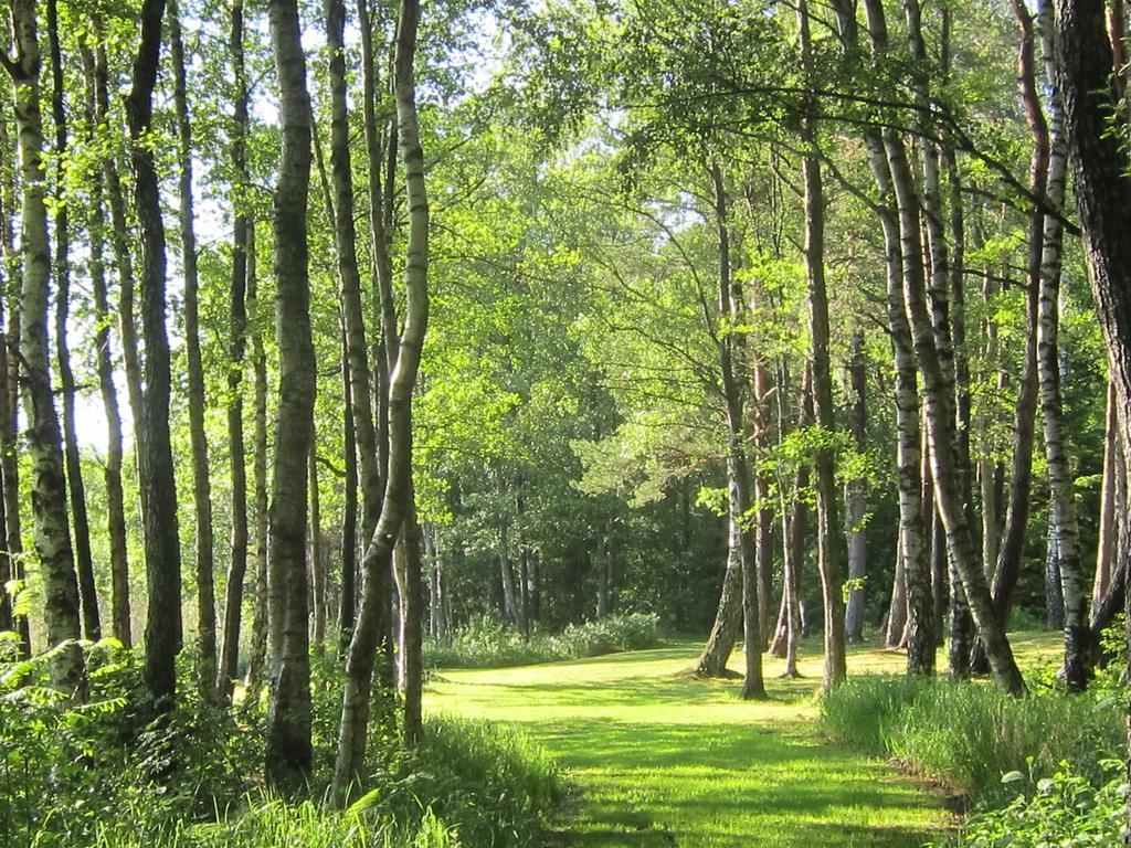 Sikhall Camping Sörbo Dış mekan fotoğraf